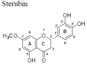 Sterubin