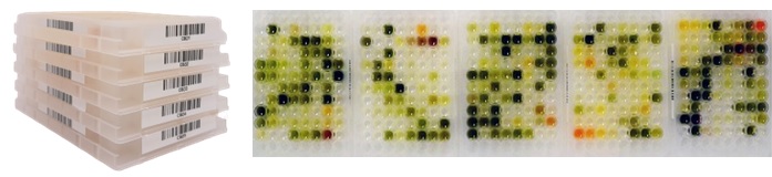 Drug discovery student projects